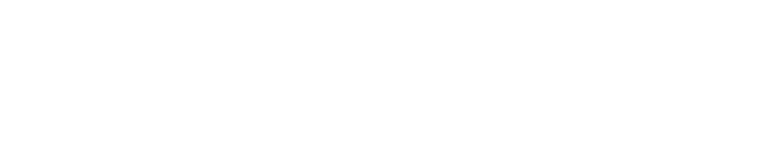 Silver Alliance Realty